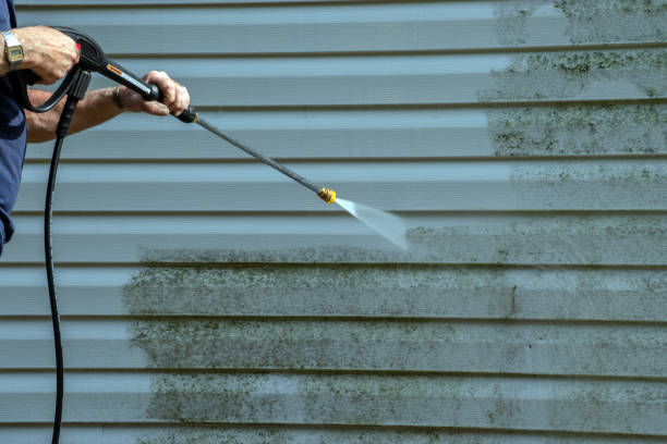 Best Affordable Pressure Washing  in Richland, MS