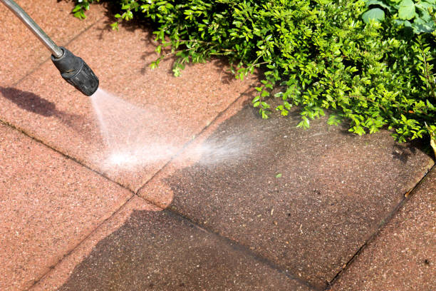 Best Best Pressure Washing Companies  in Richland, MS